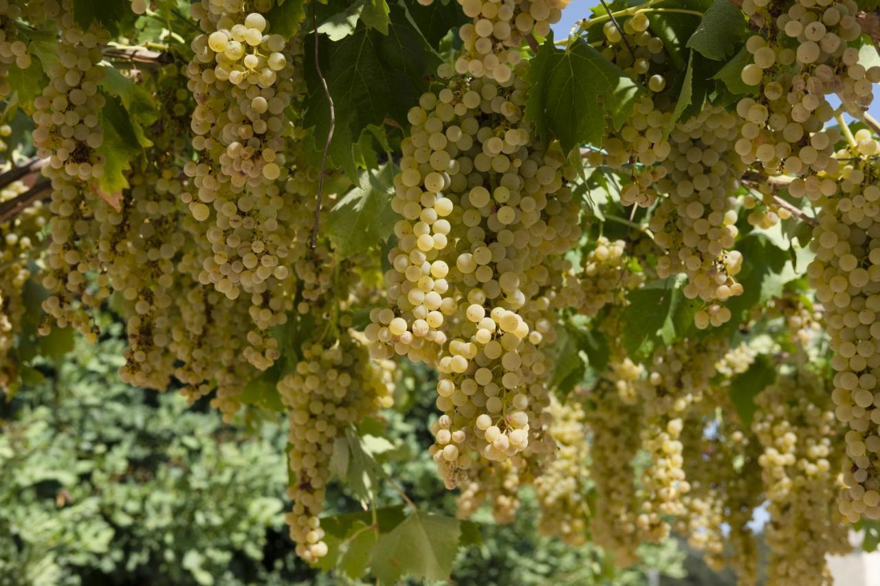 Masseria Lilei Lizzanello المظهر الخارجي الصورة