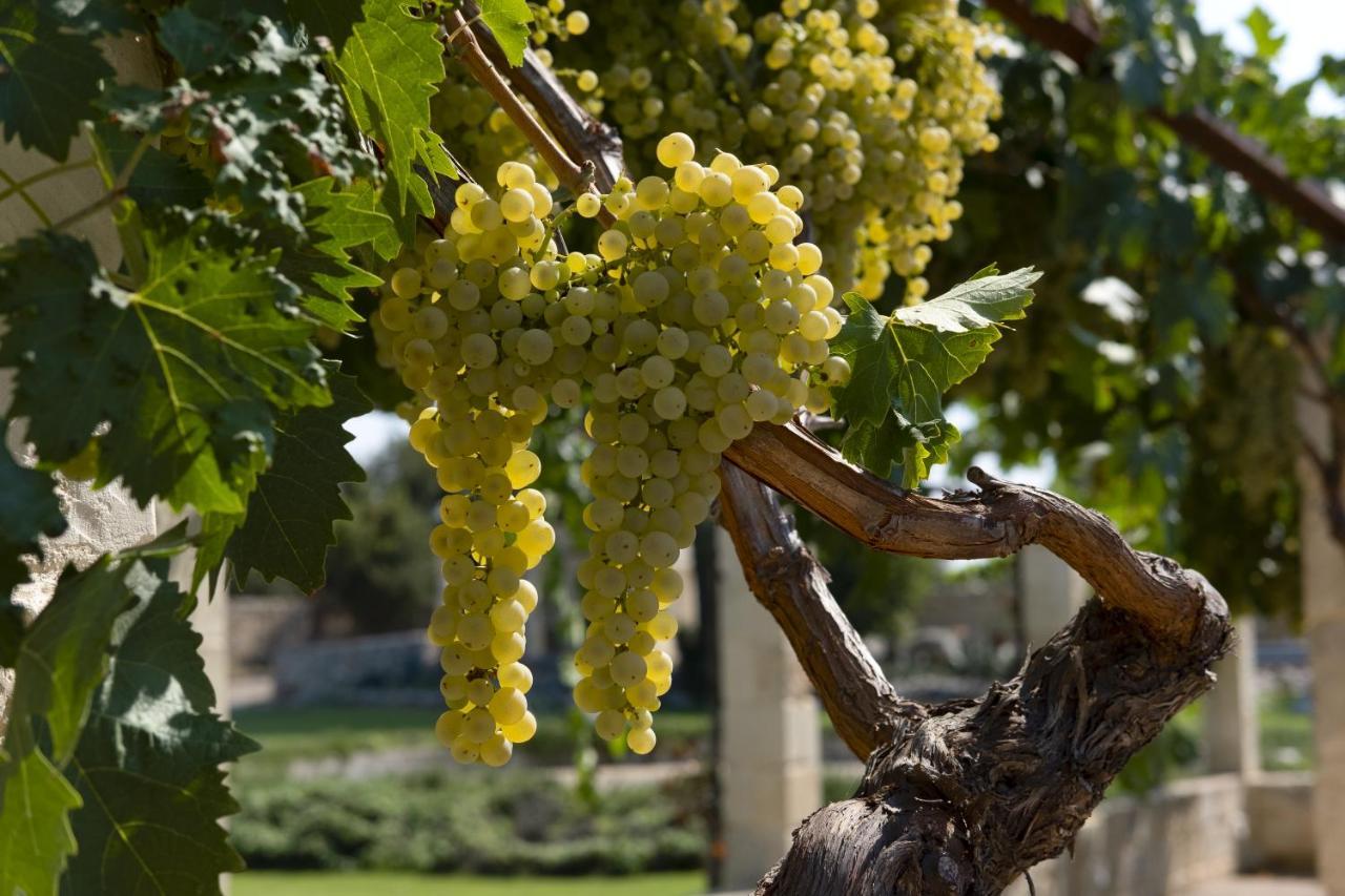 Masseria Lilei Lizzanello المظهر الخارجي الصورة